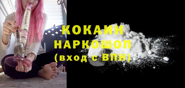 прущие грибы Бронницы