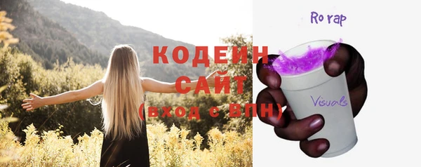 прущие грибы Бородино