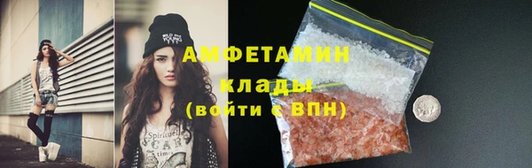 прущие грибы Бородино
