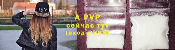 прущие грибы Бородино