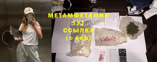 прущие грибы Бронницы
