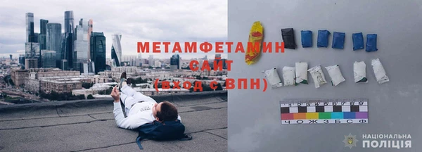 прущие грибы Бородино