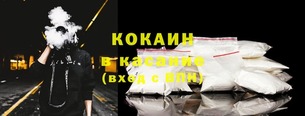 прущие грибы Бронницы