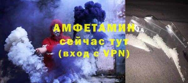 прущие грибы Бронницы