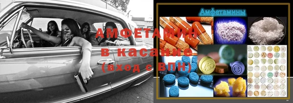прущие грибы Бронницы