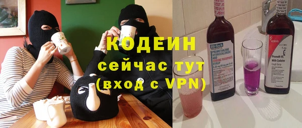 прущие грибы Бородино