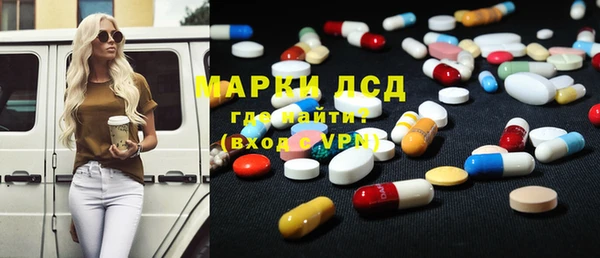 прущие грибы Бородино