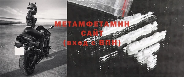 прущие грибы Бородино