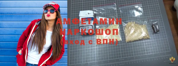 прущие грибы Бородино